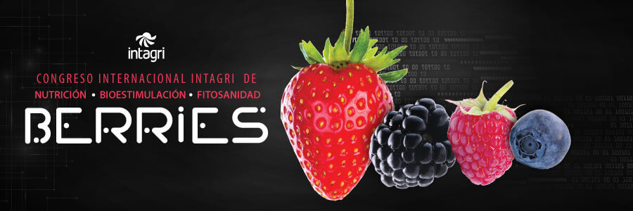 congreso de berries