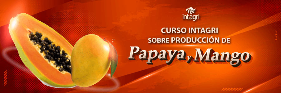 congreso de papaya y mango