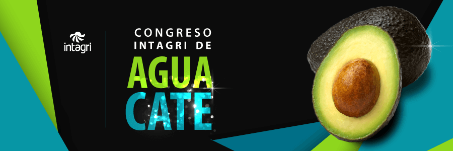 congreso de aguacate