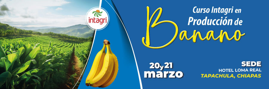 Produccion de Banano