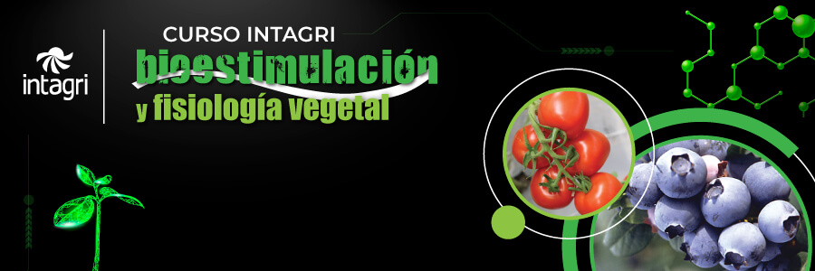 Curso Intagri de Bioestimulación y Fisiología Vegetal