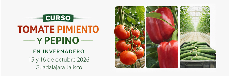 Congreso INTAGRI sobre Producción de Tomate, Pimiento y Pepino
