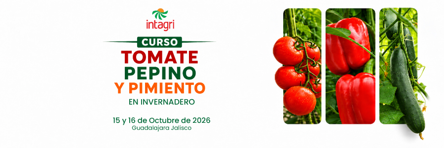 Congreso INTAGRI sobre Producción de Tomate, Pimiento y Pepino