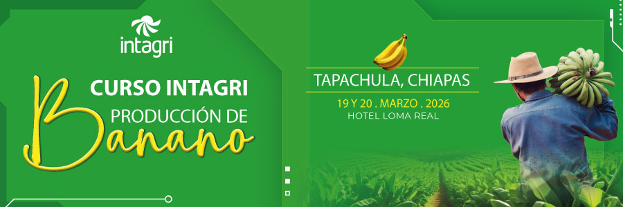 Produccion de Banano