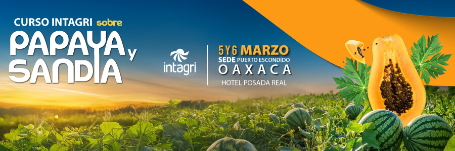 Produccion de papaya y sandia