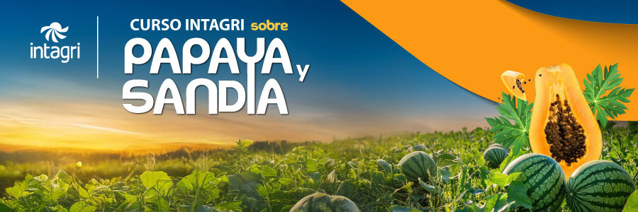 Produccion de papaya y sandia