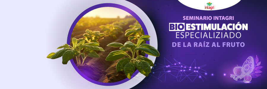 Seminario INTAGRI de Bioestimulación Especializado de la Raíz al Fruto
