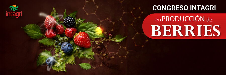 Congreso Intagri en Producción de Berries