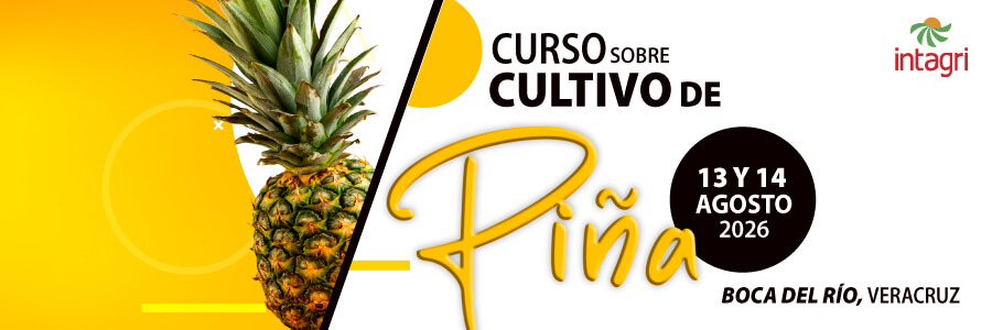 Curso INTAGRI sobre el Cultivo de Piña