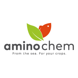 amino chem
