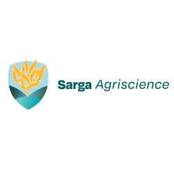 Sarga