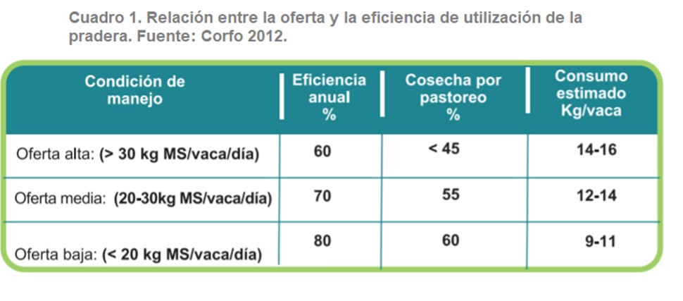 Relacion entre oferta y eficiencia de la utilizacion de una pradera