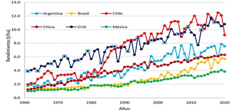 Rendimiento del maíz