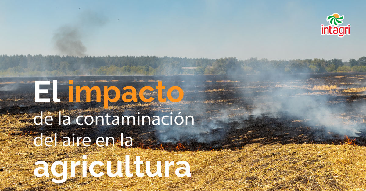 El Impacto de la Contaminación del Aire en la Agricultura | Intagri S.C.