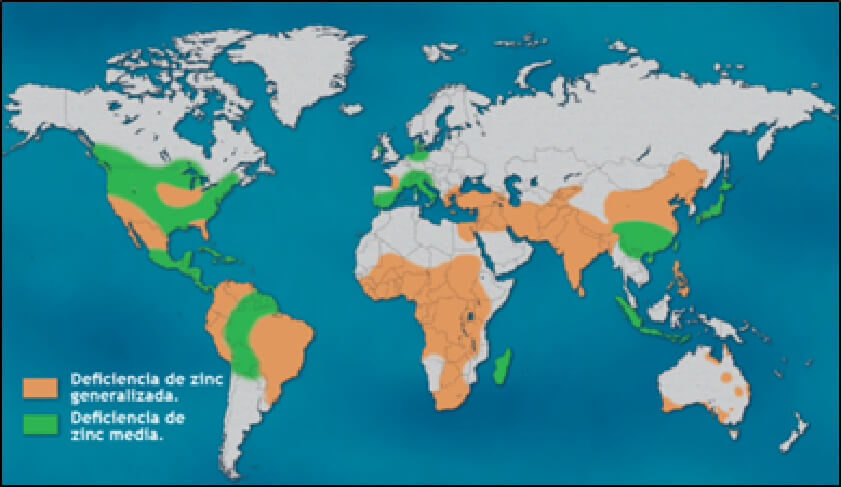  Deficiencia de Zn en los suelos del mundo 