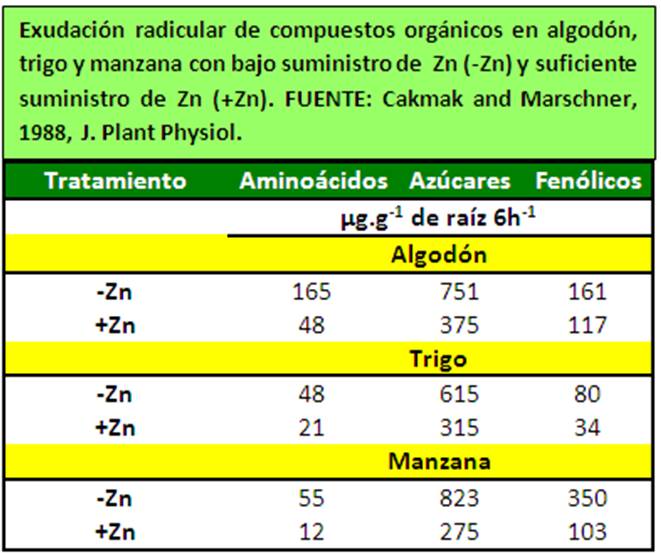  Exudación radicular de compuestos orgánicos en algodón 