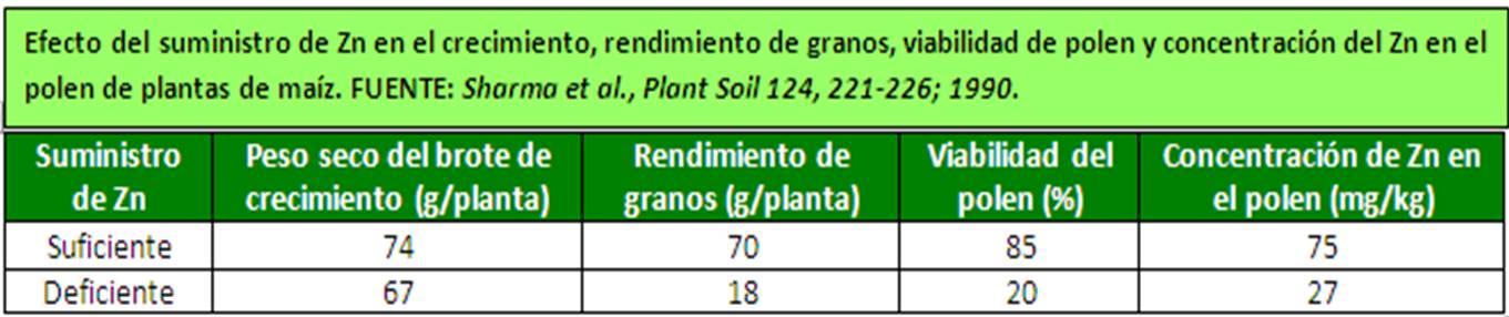 Efecto del suministro de Zn en el crecimiento.