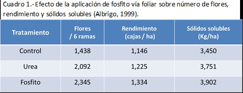 Efecto de la aplicacion de fosfito