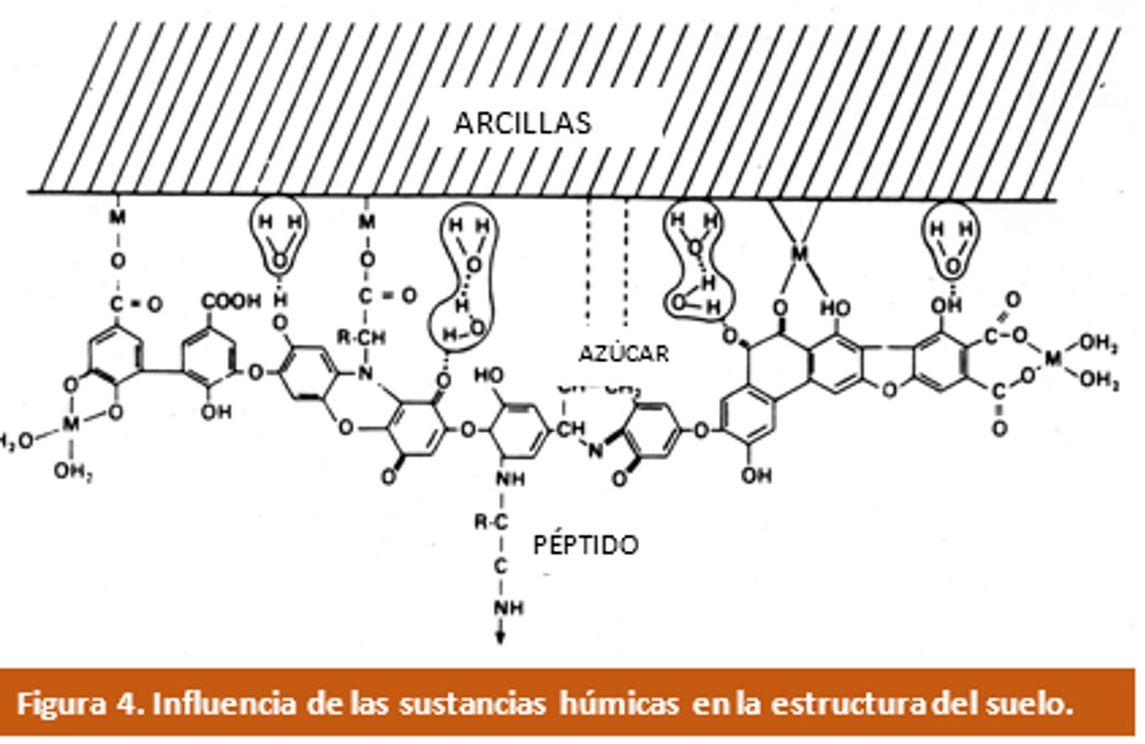 Influencia