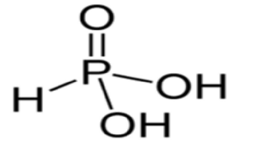  Molecula 