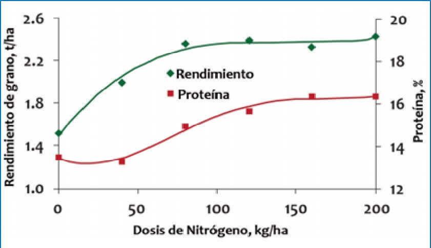  Rendimiento 