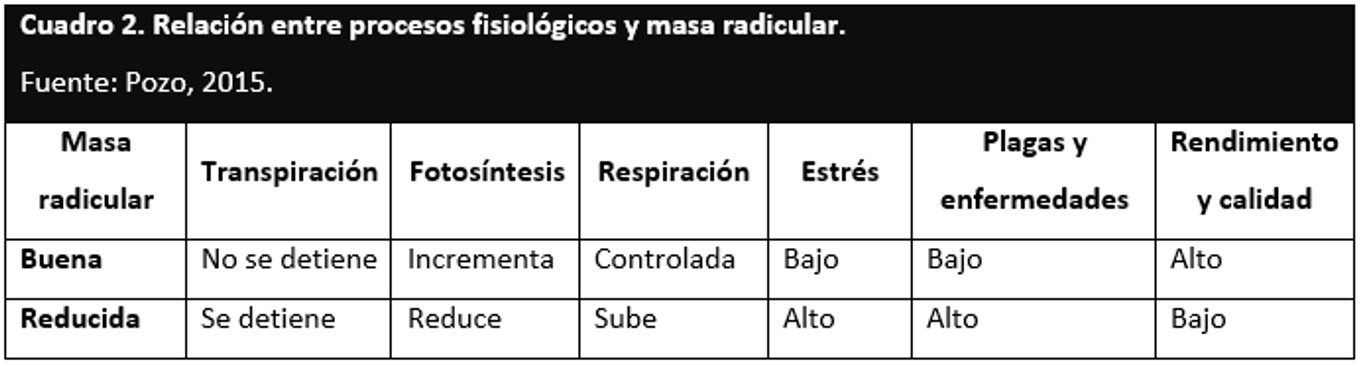 Procesos