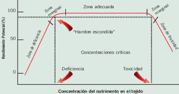 Rendimiento y concentración de nutrientes