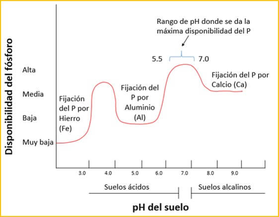 Fósforo y pH del Suelo