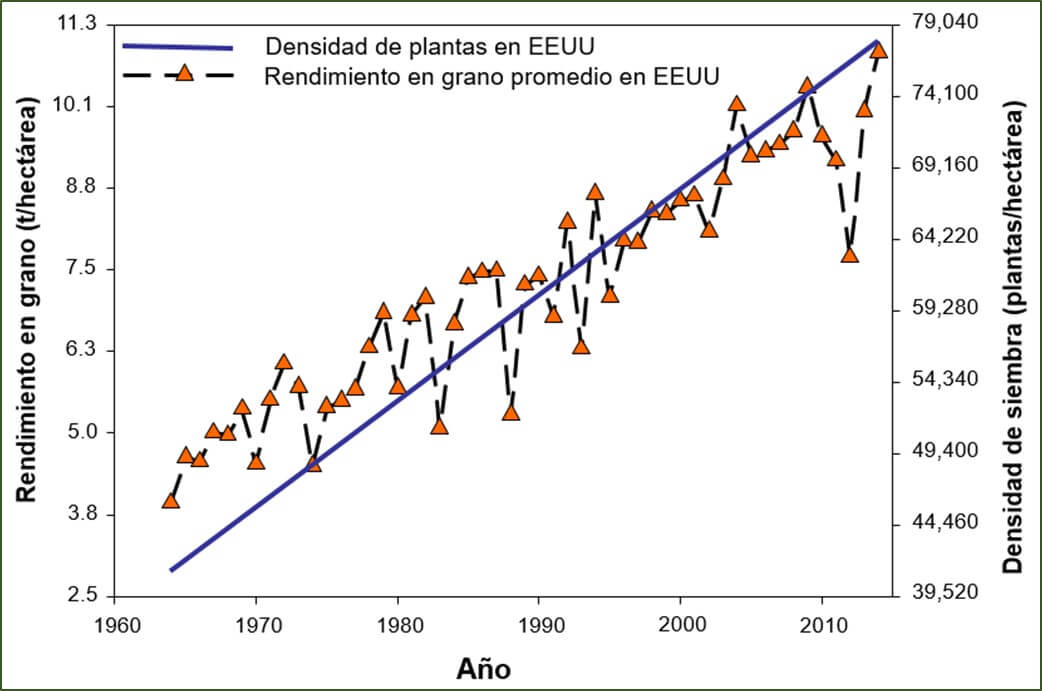 Densidad de siembra y rendimiento