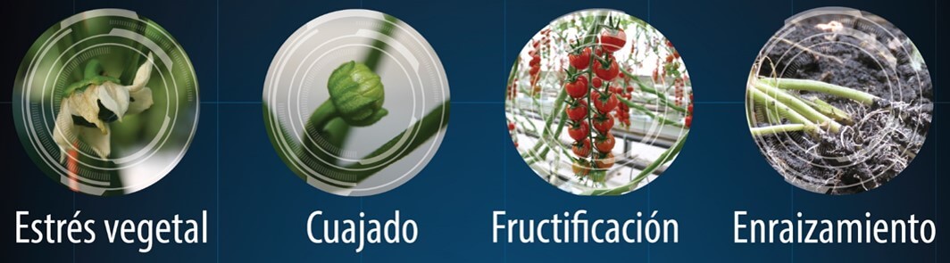 bioestimulación, cuajado, enraizamiento, fructificación