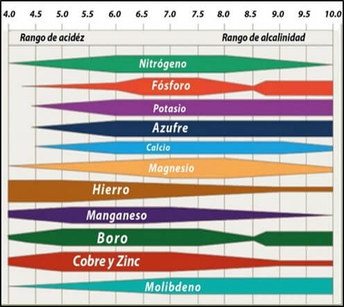 globo cápsula Becks Disponibilidad de Nutrimentos y el pH del Suelo | Intagri S.C.