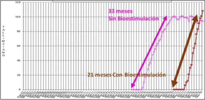 Producción de lotes con y sin bioestimulación