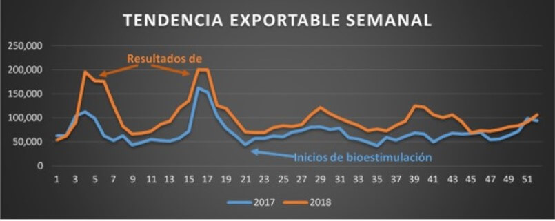 Producción de tallos exportables en 2017 y 2018. 