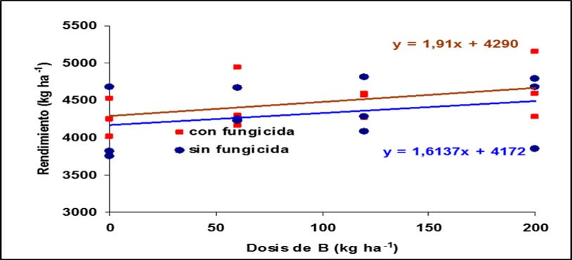 Micronutrientes en cereales