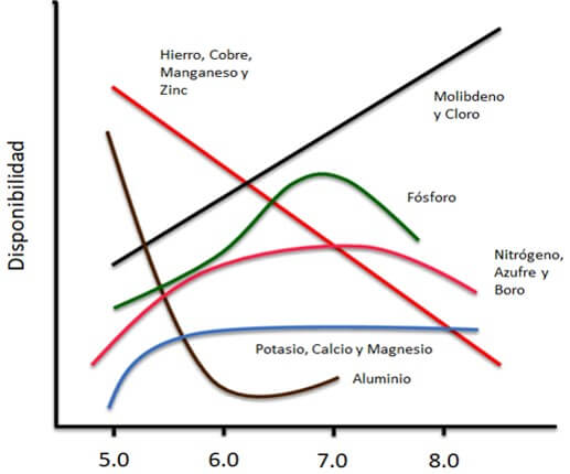Disponibilidad de los nutrimentos según el pH.