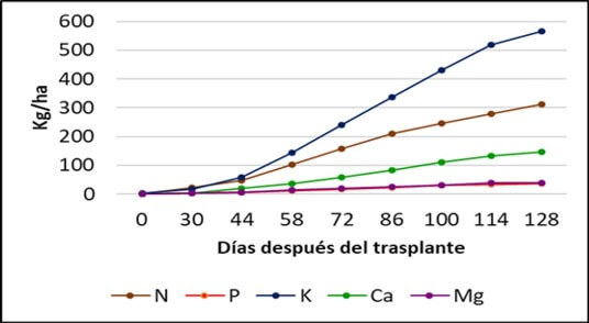 Curva de absorción de macronutrimentos en apio.