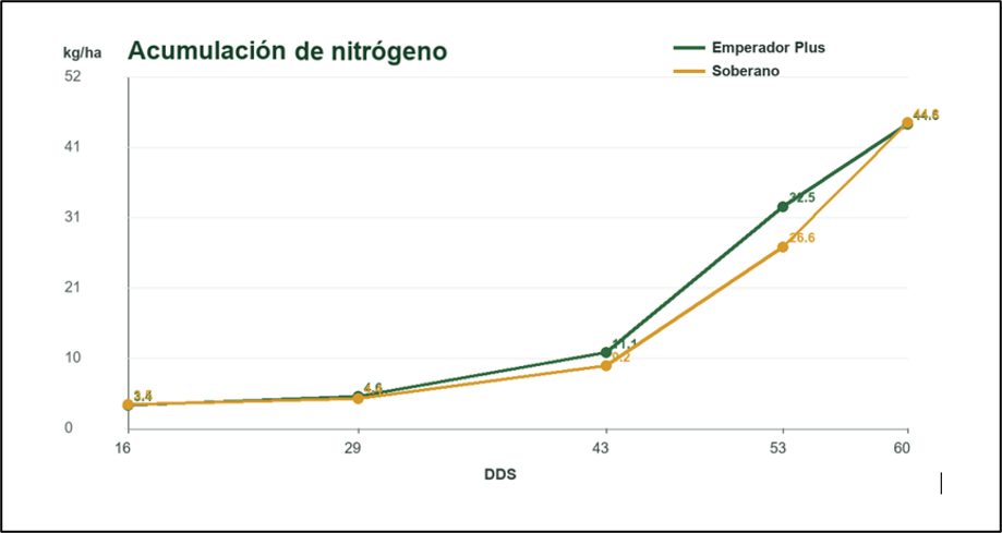 Acumulación de nitrógeno