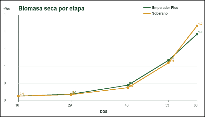 La biomasa seca