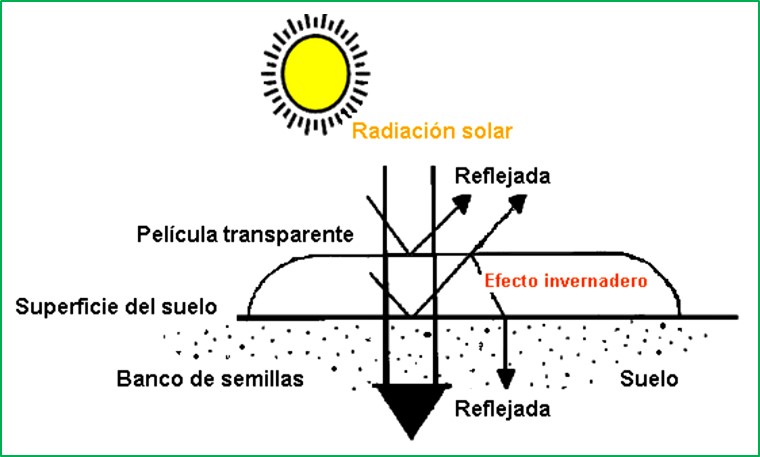 Solarización