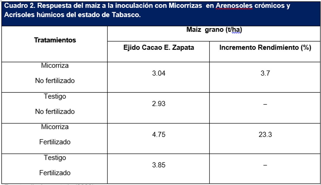 Respuesta del Maiz a la inoculacion con micorrizas