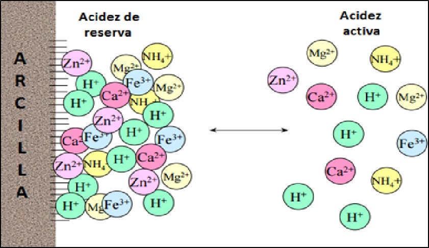  Acidez 