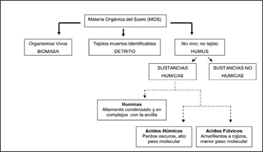  clasificacion de sustancias humicas 