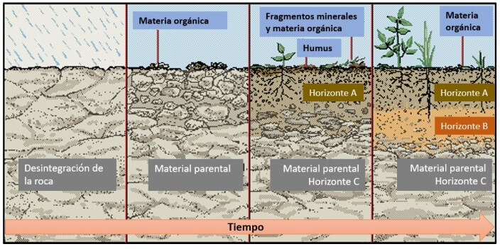 esquema-de-la-formacion-del-suelo 