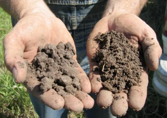 Soil Health