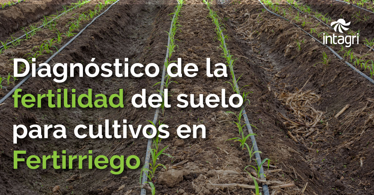 Diagnóstico de la Fertilidad del Suelo para Cultivos en Fertirriego