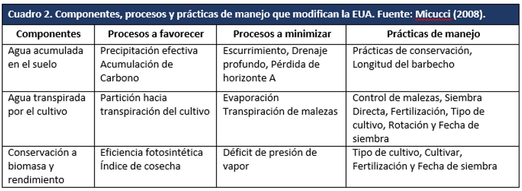 Componentes