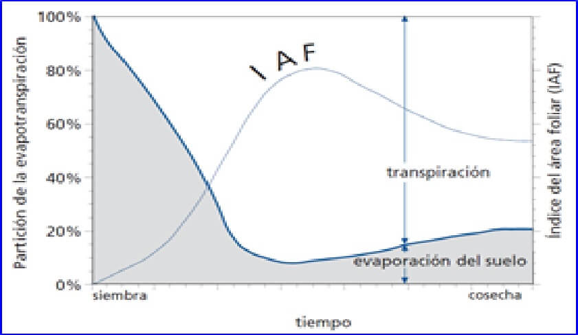  elacion entre la evaporacion y transpiracion