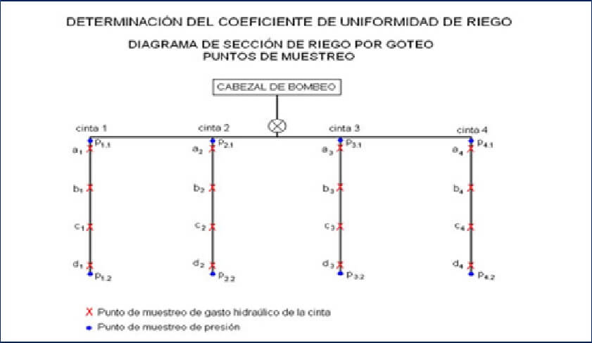  determinacion 