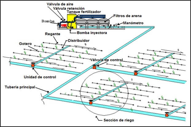 Partes de un sistema de riego por goteo.