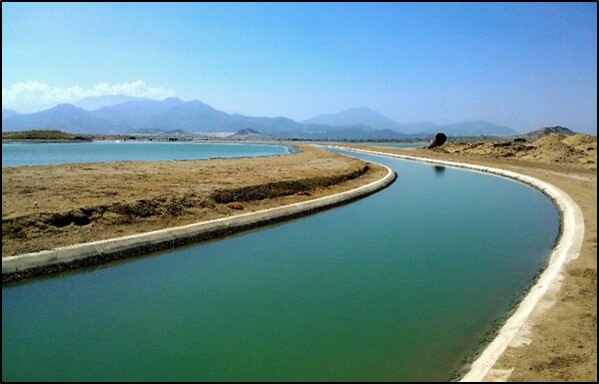 Canal de riego